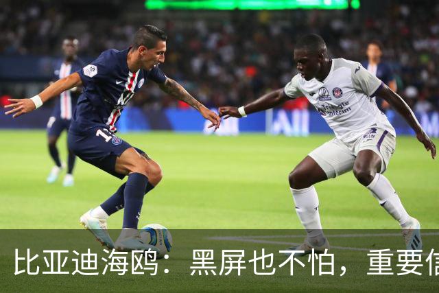 比亚迪海鸥：黑屏也不怕，重要信息照样跑不掉！