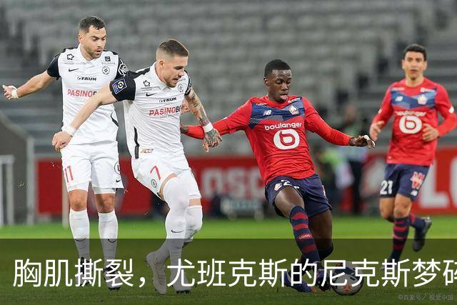 胸肌撕裂，尤班克斯的尼克斯梦碎15分钟